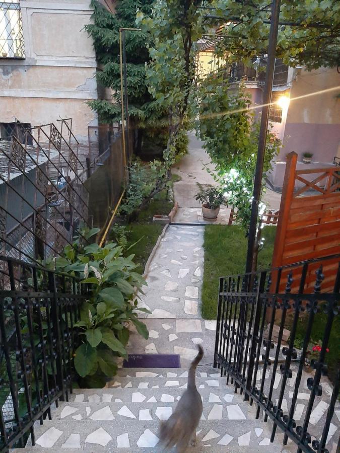 Piccola Italia Casa Racovita Cluj-Napoca Ngoại thất bức ảnh