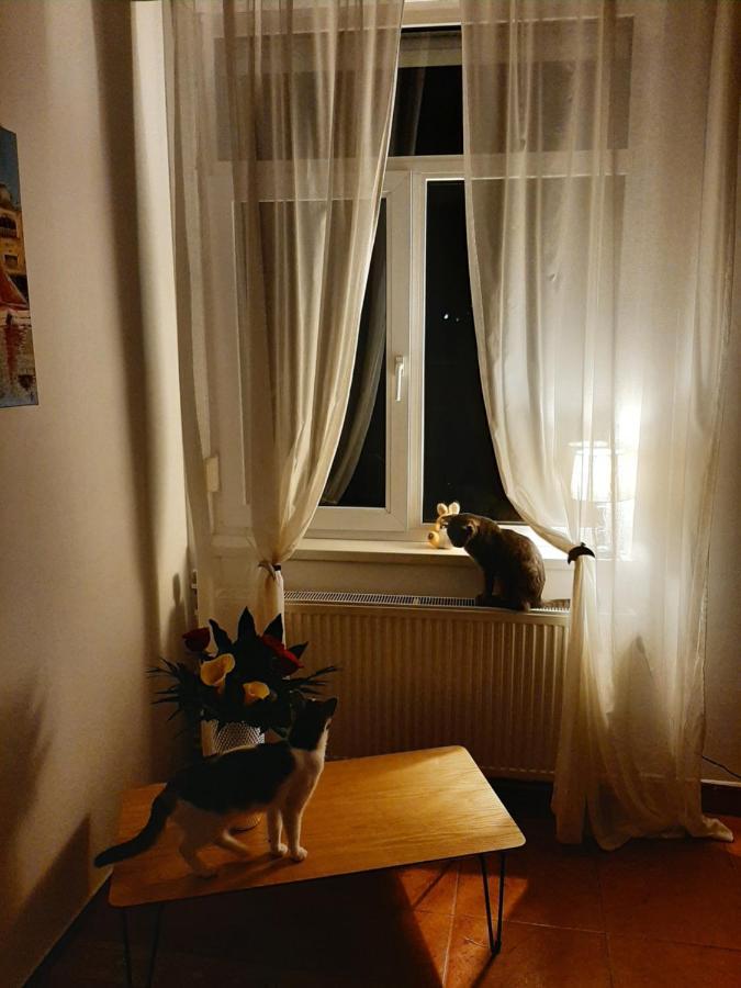 Piccola Italia Casa Racovita Cluj-Napoca Ngoại thất bức ảnh