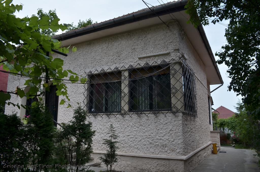 Piccola Italia Casa Racovita Cluj-Napoca Ngoại thất bức ảnh